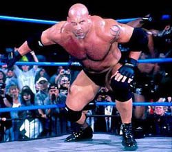 goldberg spear